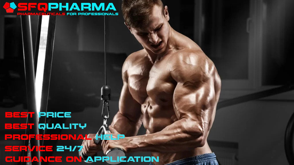 Best place to buy steroids online store | SFQPharma